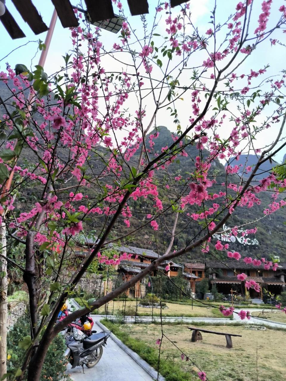 Xua Vu Homestay Meo Vac Exterior foto